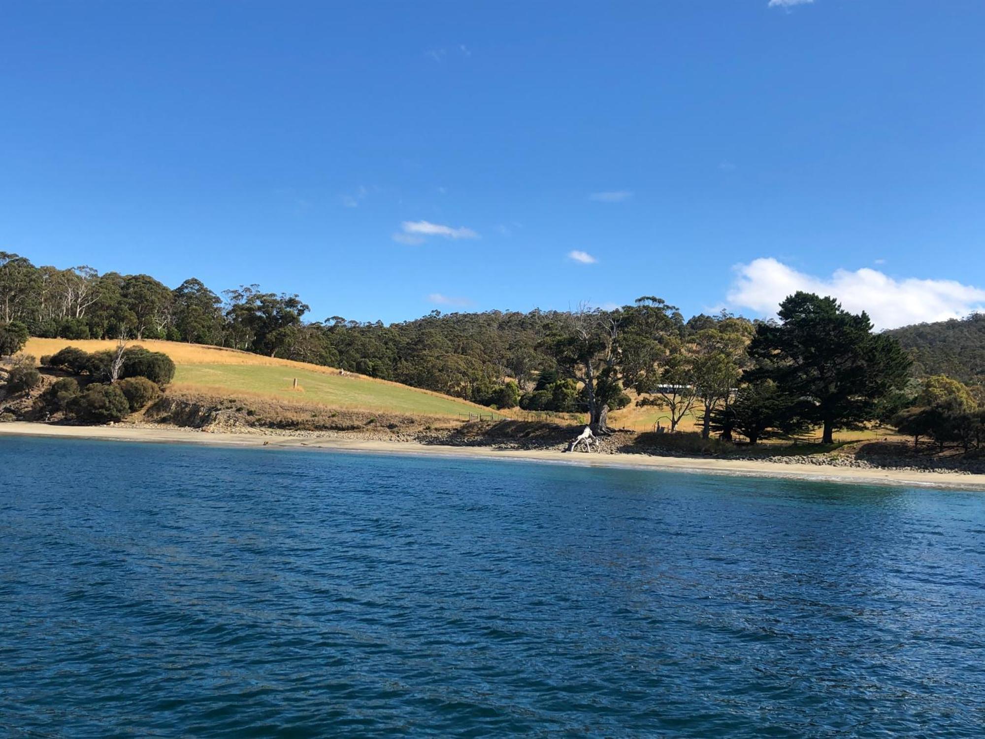 The Woolshed And Farmhouse Blue, Bruny Island Barnes Bay ภายนอก รูปภาพ